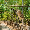 thumbnail image 7 of Orangide Hanging Owl Bird Repellent Decoration, Scarecrow Pendant Wind Chime for Garden, Effective Outdoor Deterrent for Farm Orchard Protector, 7 of 7