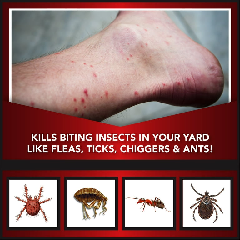 Tick flea deals