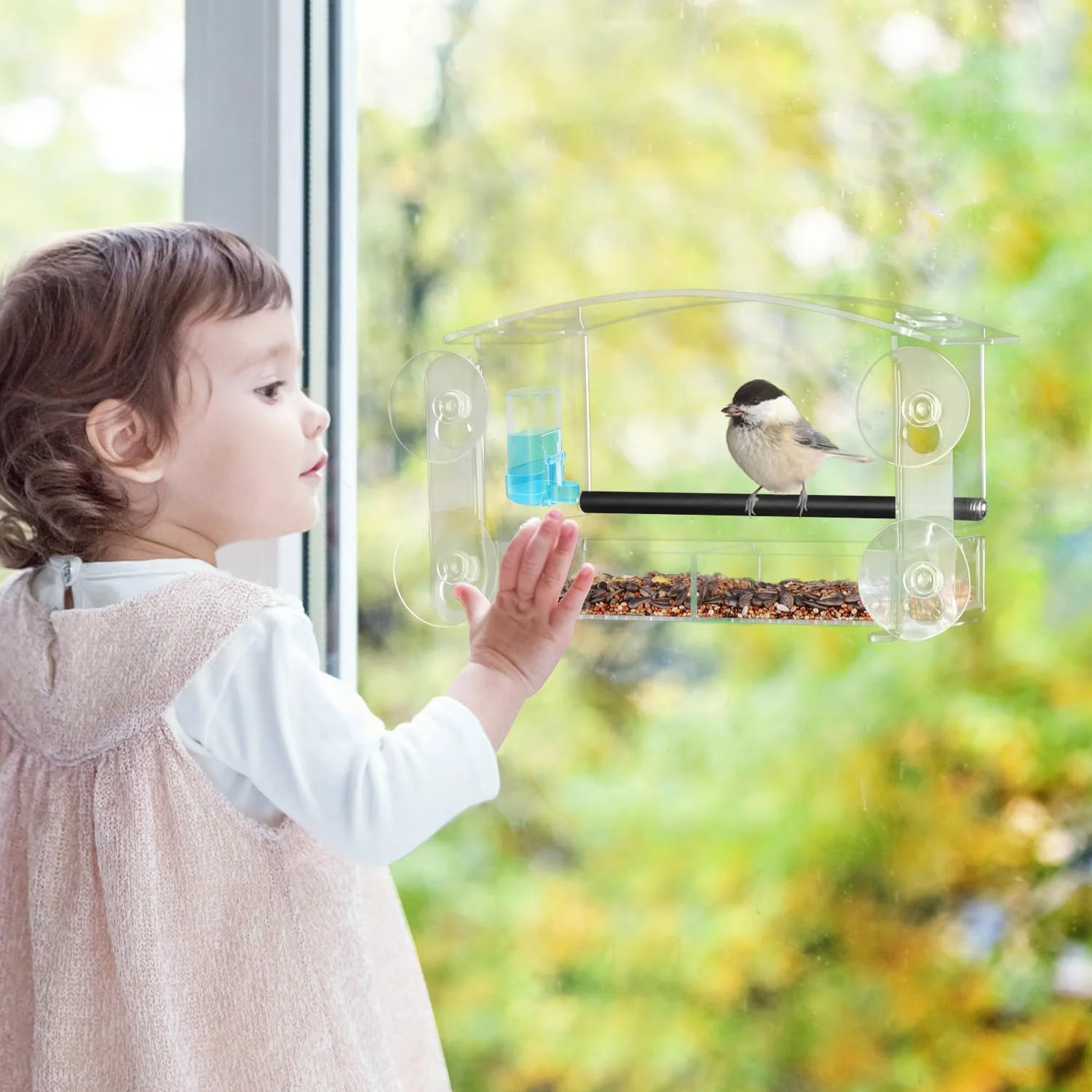 Mangeoire Pour Oiseaux Avec Ventouse Pour Fenêtre