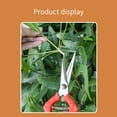 thumbnail image 4 of Tijeras de Podar para Jardín, Tijeras para Ramas en Macetas, Tijeras Pequeñas para Recoger Frutas, Herramientas Manuales para el Hogar, 4 of 6