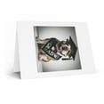 thumbnail image 2 of DistinctInk Greeting Card / Note Card - Bulldog Graduation - PACK of 5, 2 of 7