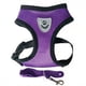 thumbnail image 5 of Adjustable Dog Harness Vest Breathable Comfortable Pet Mesh Chest Strap Dog Walking Leash, 5 of 5