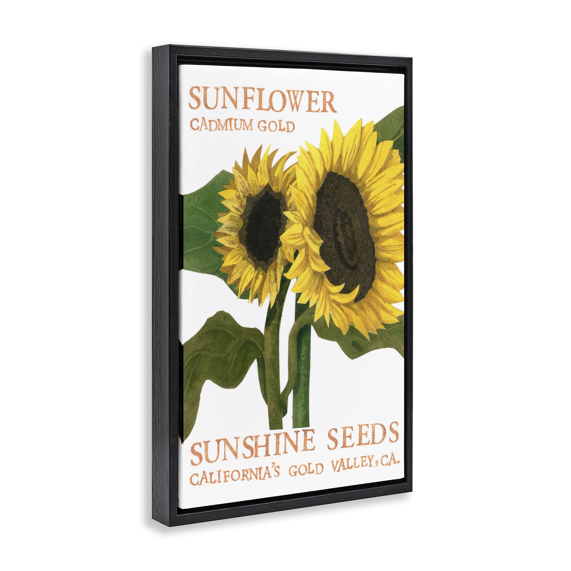 Stupell Industries Sunflower Seeds Design Typography Painting Black Floater Framed Art Print Wall Art, 21 x 31
