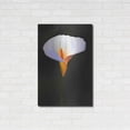 thumbnail image 3 of Luxe Metal Art 'Beautiful Flower' by Ata Alishahi, Metal Wall Art, 24"x36", 3 of 7