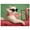 Gallery Wrapped, variant on Glamorous Ride Canvas Print Cats Art by Art Remedy, Gallery Wrapped, 20 x 16