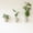 Stone-3, variant on Wall Planters Stone 6 Count Self-watering Vertical Garden For Indoor Plants