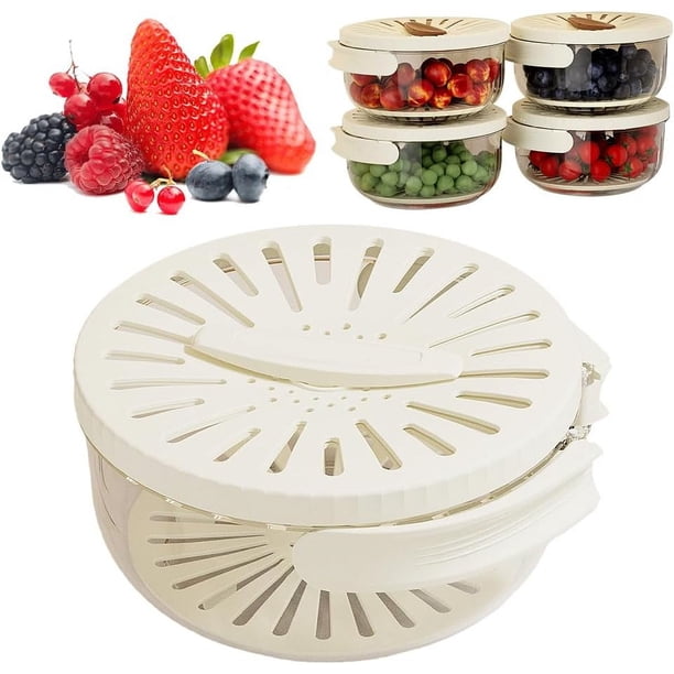 Tazón 2 en 1 para Lavar Frutas y Verduras con Colador, Cesta de Drenaje y Contenedor de Almacenamiento para Cocina