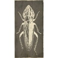 thumbnail image 3 of Villa, Mlli 14x24 Black Modern Framed Museum Art Print Titled - Bug Life Three, 3 of 5