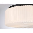 thumbnail image 5 of Edgemont 4-Light Ceiling Light in Matte Black, 5 of 6