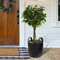 thumbnail image 2 of CSChome Flower Grow Bags Flower Grow Bags Eco friendly Breathable Strong Load bearing Multipurpose Felt 6 Pcs, 2 of 6