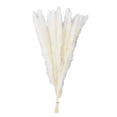 thumbnail image 2 of 15 secas de hierba pampa de 20 pulgadas de largo, color blanco para bodas, fiestas, bohemios, decoración del hogar, arreglos florales Zulema Hierba de pampa seca, 2 of 8