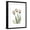 Black Frame, variant on Art.com Soft Tulip Portrait 2 Stretched Canvas Print Wall Art by Albert Koetsier, 12" x 16"