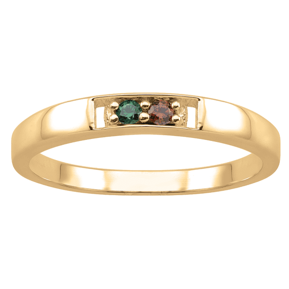Personalized Birthstone Family Ring In 10k Gold By Jewlster