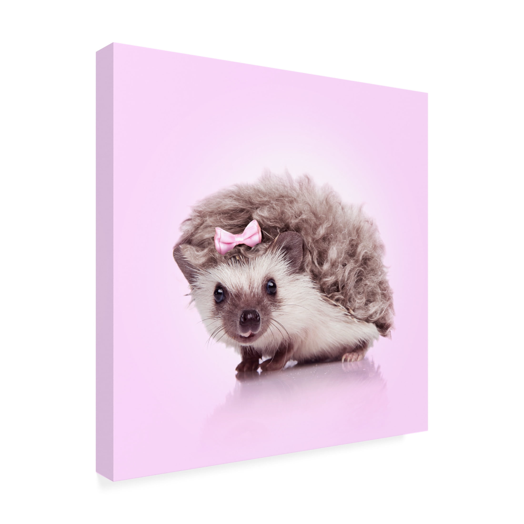 Trademark Fine Art Artem Pozdniakov Curvy Hedgehog Canvas Wall Art