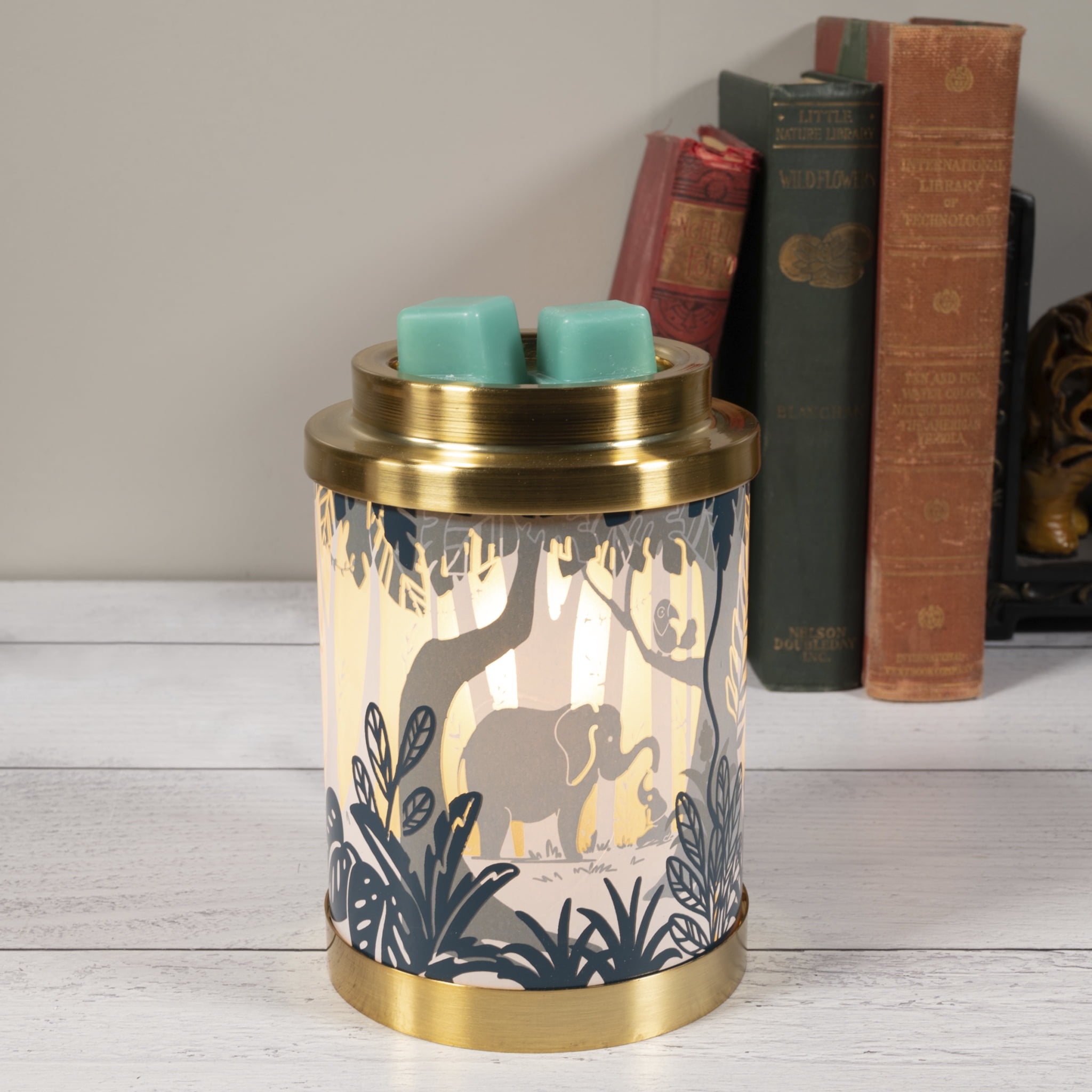 ScentSationals Full Size Fragrance Warmer, Into the Wild