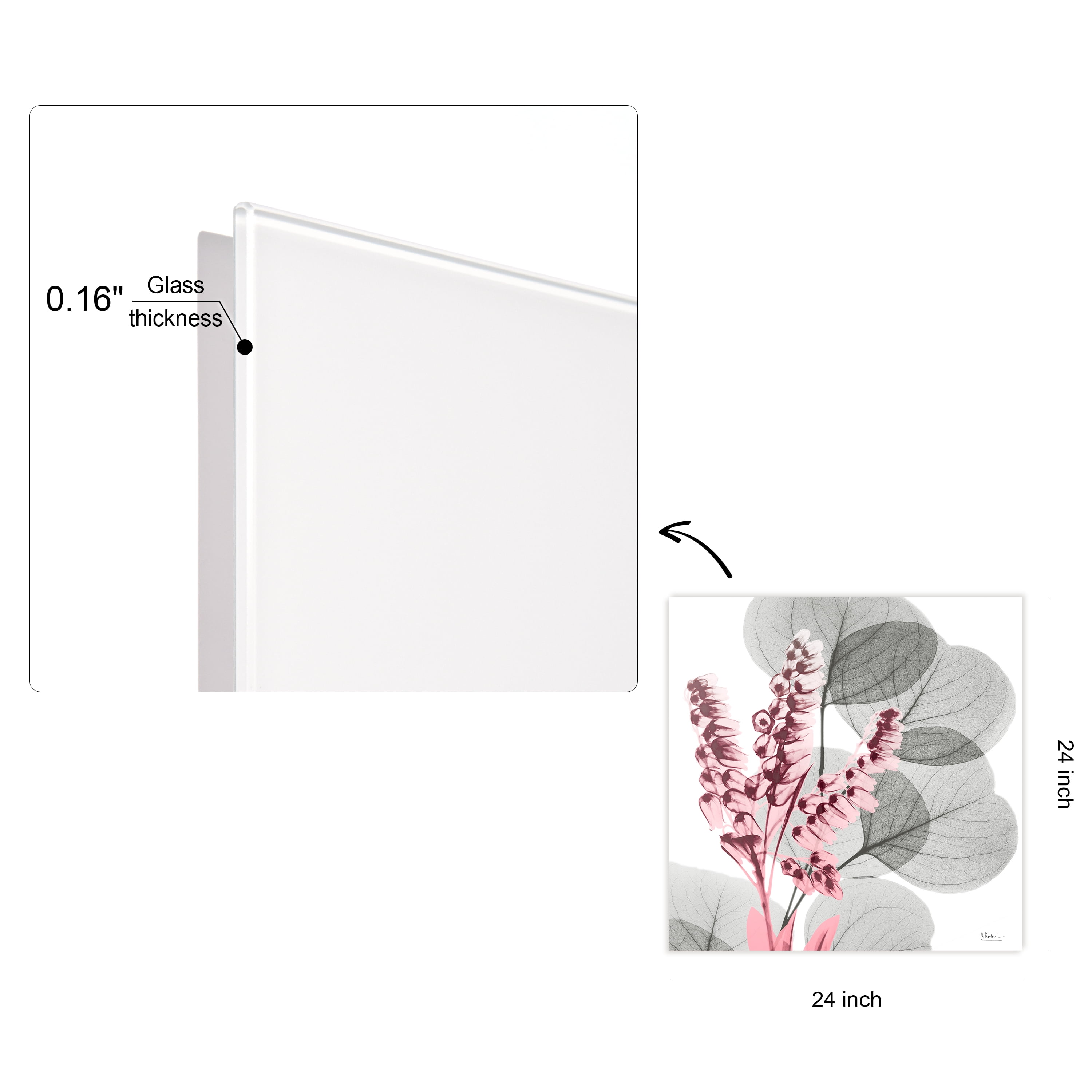 Empire Art Direct Eucalyptus Bush 2 Frameless Free Floating Tempered Glass Panel Graphic Flower Wall Art, 24" x 24" x 0.2", Ready to Hang