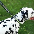 thumbnail image 1 of CBFFDC Dog Accessories Reflective Adjustable Collar with Metal D ring Buckle Striped Pattern Prevent Break Away Traction Tool for Dogs, 1 of 7