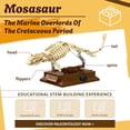 thumbnail image 4 of Modelo de fósil de dinosaurio Myth Qholve Mosasaurus, kit de 191 piezas, 4 of 8