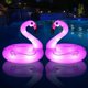 thumbnail image 1 of Flotador inflable con forma de flamenco para piscina FlyFreeU con luces para adultos, 1 of 7