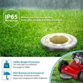 thumbnail image 5 of Solar Street Lights, 8 LED, Solar Lights for Outdoor and Garden, 5 of 5