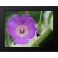 thumbnail image 2 of Bonin, Suzanne 18x15 Black Modern Framed Museum Art Print Titled - Jazz Time, 2 of 5