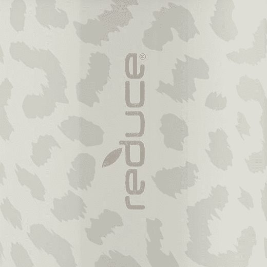 Snow Leopard
