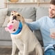 thumbnail image 4 of Toy for Kids Active Moving Pet Plush Toy, Interactive Dog Toy, Talking Movable Dog Toy, Electronic Dog Toy, Bounce Boredom Toy For Cats And Dogs, 4 of 7