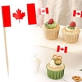 thumbnail image 1 of Country Flag Toothpicks | Cake And Burger Decorative Sticks | Flags For Themed Meals, 1 of 5