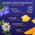 thumbnail image 3 of Bigelow Butterfly Pea Flower Sapphire Bay, Herbal Tea, Tea Bags, 18 Count, 3 of 14