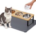 thumbnail image 1 of Cuencos elevados para gatos Summark mejorados, inclinados 15° con tapete para comida, 1 of 7