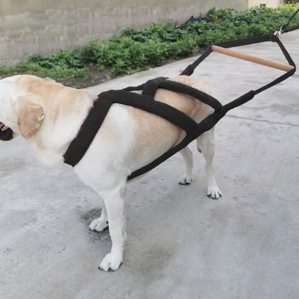 Pet Artist Dog Weight Pulling Harness Heavy Duty Training Large Dogs No Pull Pitbull Husky