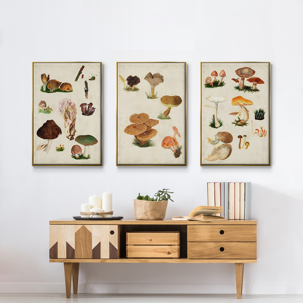 Mushroom Species IV - Framed Premium Gallery Wrapped Canvas L Frame 3 Piece Set - Ready to Hang