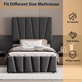 thumbnail image 2 of Ourlova Twin Dark Gray Bed Frame with Adjustable Headboard and 2 Storage Drawers Soft Upholstered Platform Bed with Wooden Slats Support No Box Spring Needed, 2 of 8