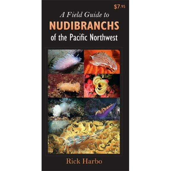 Field Guide To... (Harbour Publishing) A Field Guide to Nudibranchs of the Pacific Northwest, (Paperback)