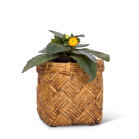 Set of 2 Small Wide Weave Taper Planter