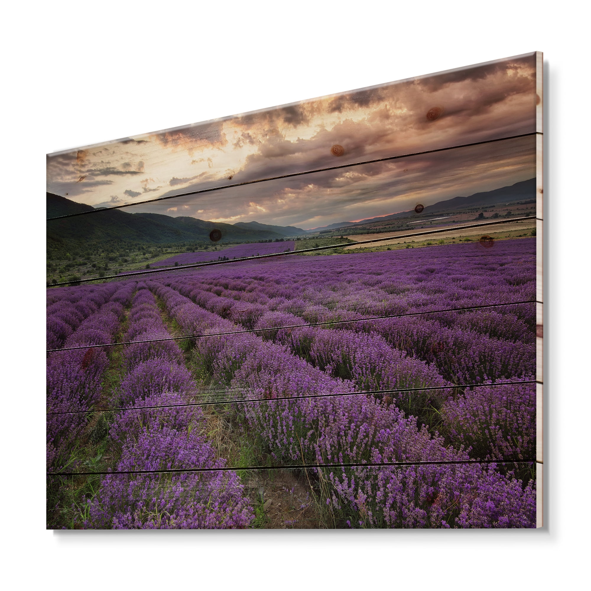 Designart 'Lavender Field At Sunrise I' Farmhouse Print on Natural Pine Wood