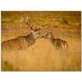 thumbnail image 1 of Deer Ceramic Tile Mural Kitchen Backsplash Bathroom Shower 402720-M43, 1 of 3
