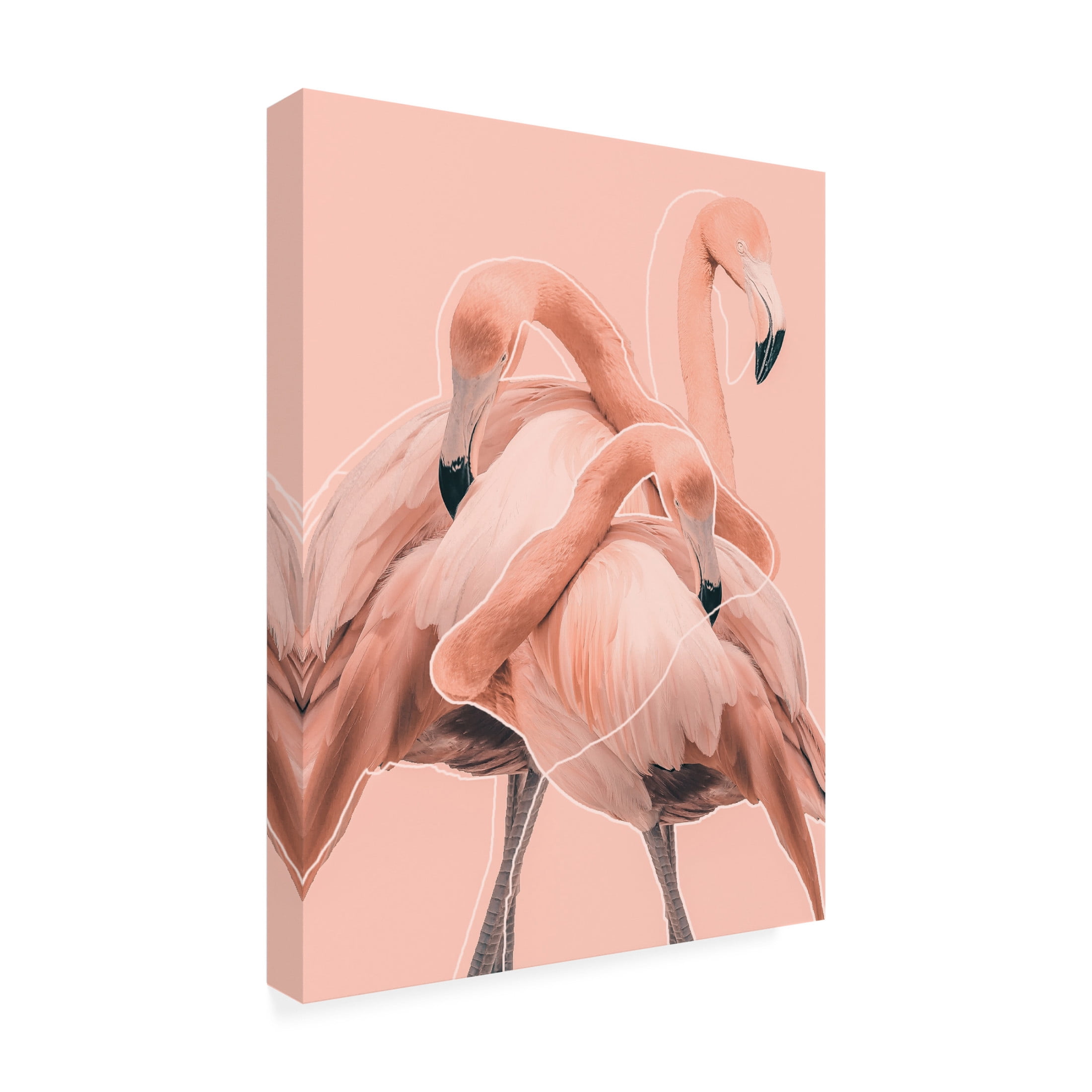 Trademark Fine Art Baard Martinussen Flamingos nr. 1 Canvas Wall Art