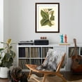 thumbnail image 4 of Art.com Fantastical Botanical IV Art Print by Vision Studio, Brown Frame Wall Art, 32" x 40", 4 of 5