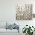 thumbnail image 3 of Trademark Fine Art 'Shadows I' Canvas Art by Tim OToole, 3 of 4