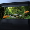 thumbnail image 2 of 48X20IN Natural Green Forest Tree Reptile Habitat Background Terrarium Background, Tropical Forest Decor Aquarium Background,Misty Rainforest Aquarium Background with 10 EVA Double-Sided Tape, 2 of 5