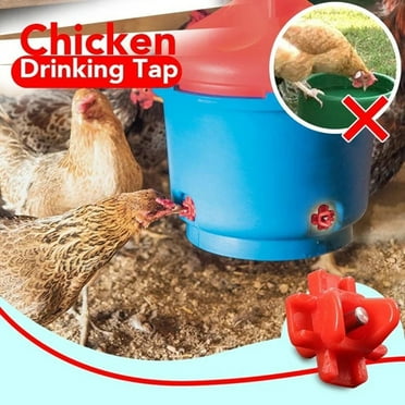 Shldybc Automatic Chicken Drinkers Waterers, Watering Cups Bowls Drinking Dispenser, 3Pcs Chicken Drinking Tap Nipple Horizontal Side Mount Screw Drinking Water