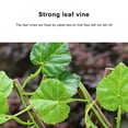 thumbnail image 4 of Expanding Trellis Fence Retractable Artificial Garden Plant Fence UV Protected Privacy Screen Garden Decoration Greenery Walls, 4 of 9