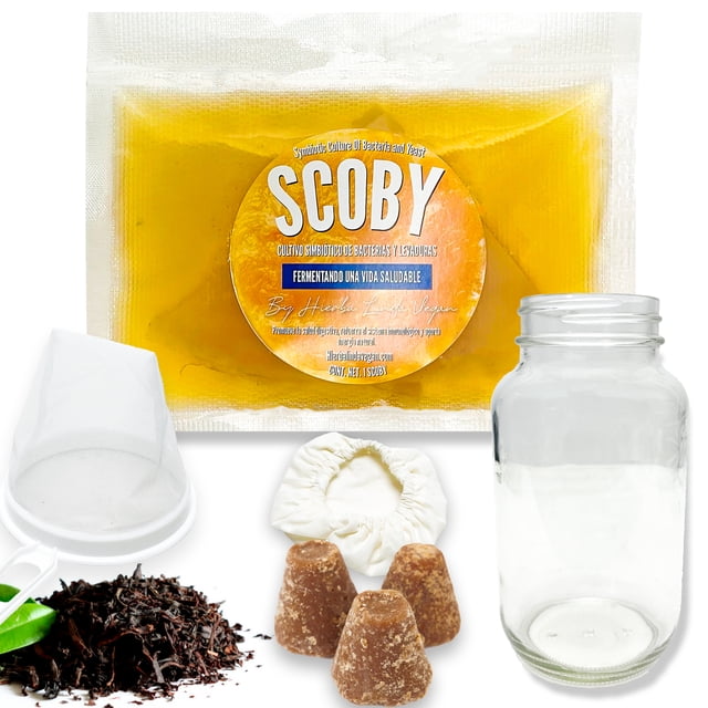 Kit Para Hacer Kombucha - Hierba Linda Vegan