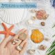 thumbnail image 3 of 1 caja de 16 dijes de concha de mar de 8 estilos, dorados, para verano, playa hawaiana, conchas de vieira naturales., 3 of 5