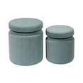 thumbnail image 3 of TOV Furniture Poupées de Rangement en Velours 18.1"H en Bleu (Lot de 2), 3 of 6