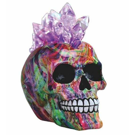FC Design 7"W LED Light Rainbow Punk Skull with Mohawk Crystal Hair Statue Fantasy Night Light Decoration Figurine