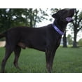 thumbnail image 3 of Country Brook Petz® Lavender Durable Nylon Martingale with Deluxe Buckle - Made in the USA, Large, 3 of 7