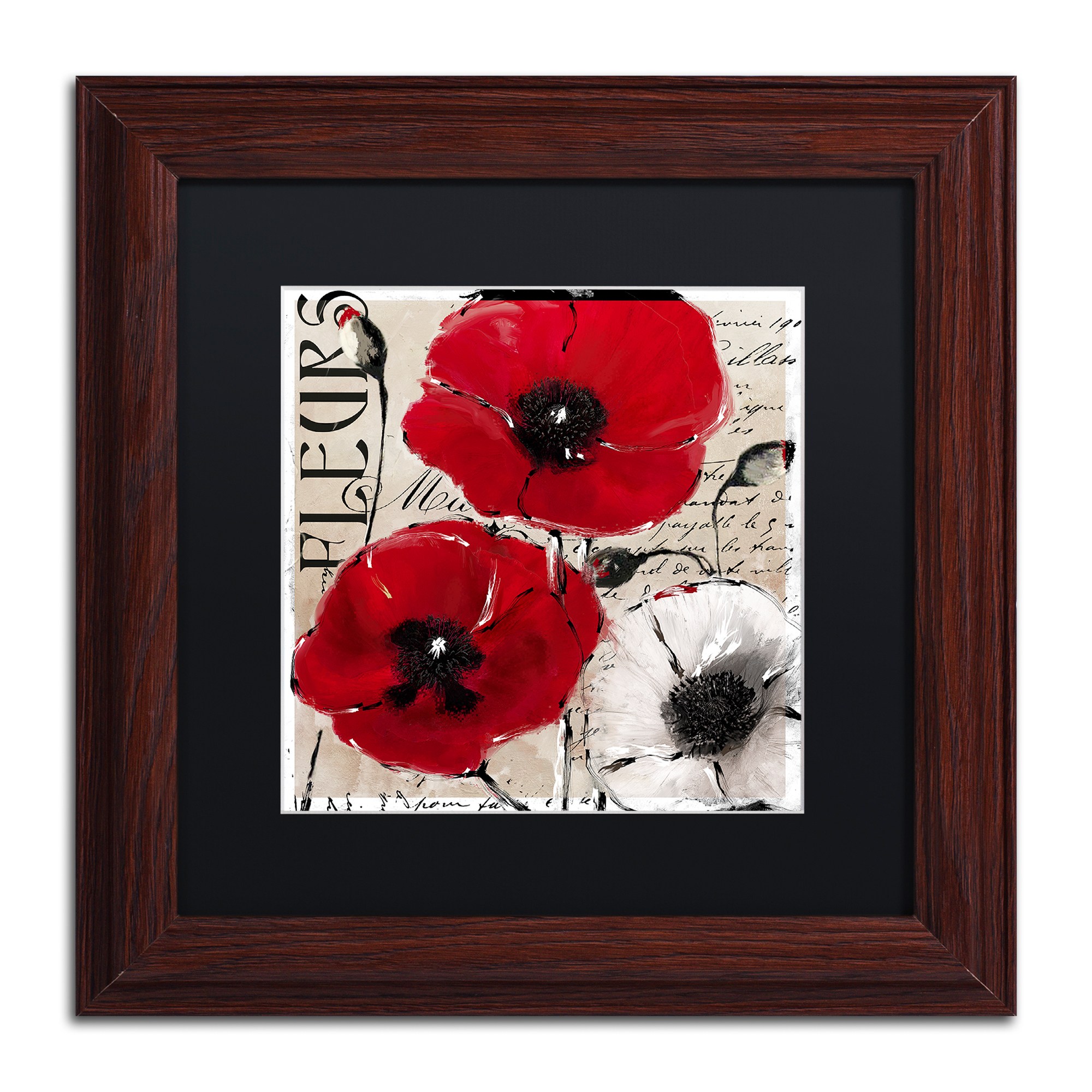 Trademark Fine Art "Rouge One" Canvas Art by Color Bakery Black Matte, Wood Frame