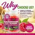 thumbnail image 5 of Elderberry Sambucus Gummies with Vitamin C, Echinacea, Propolis for Kids & Adults - 100 Gummies, 5 of 6